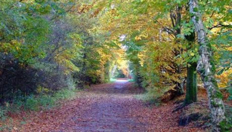 Kirklees Trail in Bury